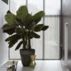 Vit lamellgardin - Panama Pro 5% - 89 mm