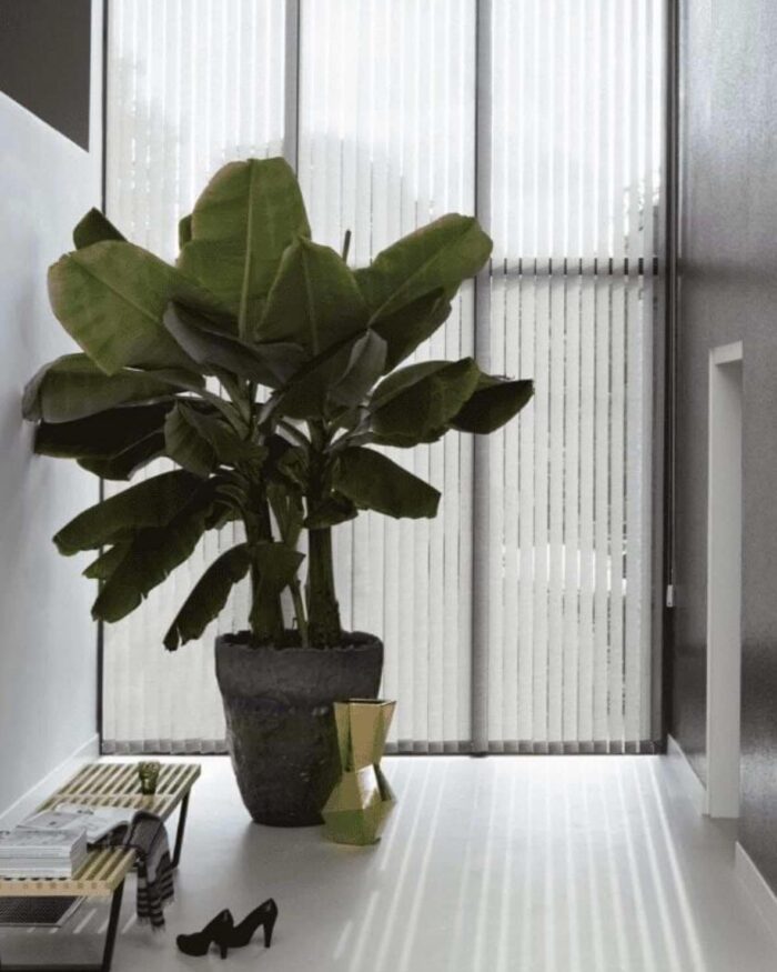 Vit lamellgardin - Panama Pro 5% - 89 mm
