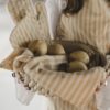 Randig kökshandduk 2-pack - Cuisine från Jakobsdals - Miljöbild